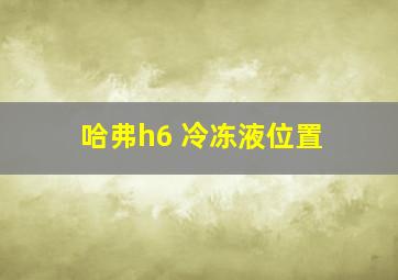 哈弗h6 冷冻液位置